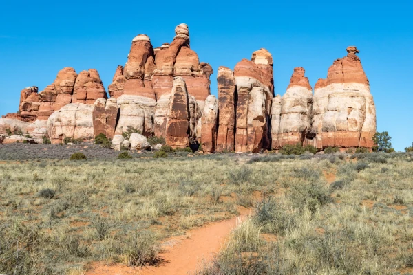 View of the needles section of Canyonlands National Park in Utah