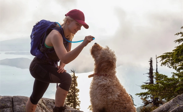 woman hiker giving shaggy dog water from hydration pack on a mountain during daytime