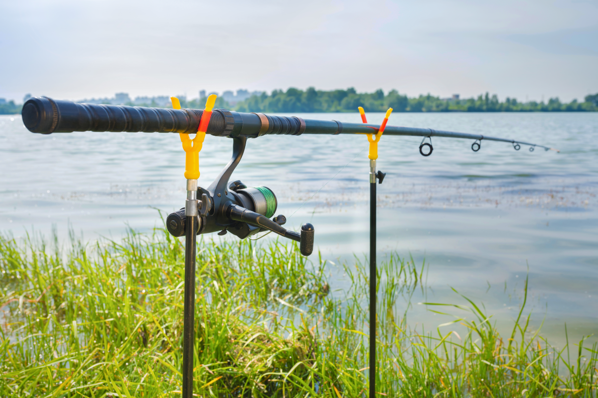 closeup fishing rod perched on top of y-shaped stand on grassy shore