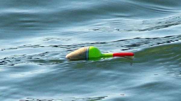 Closeup photo of green and red fishing lure floating in water