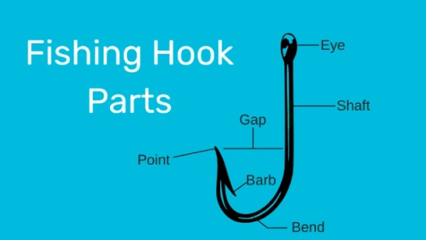 Diagram of a fishing hook with parts labelled on blue background