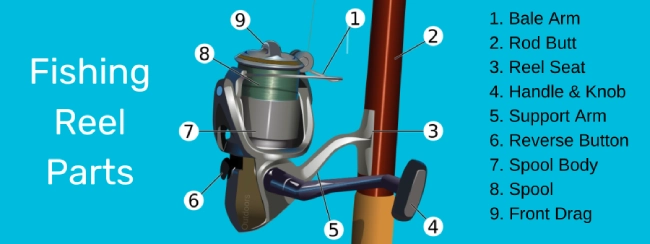 bright blue colored background, in foreground a fishing reel with parts listed