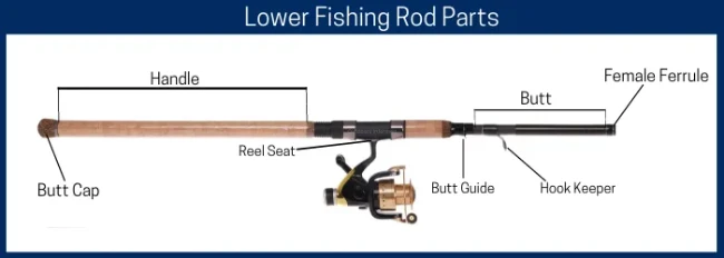 diagram of lower section of fishing rod, labeling the different parts