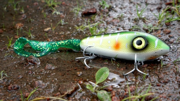 Close up photo of green fishing lure on muddy ground