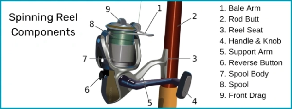 Image of spinning fishing reel with diagram overlay list detailing each visible part