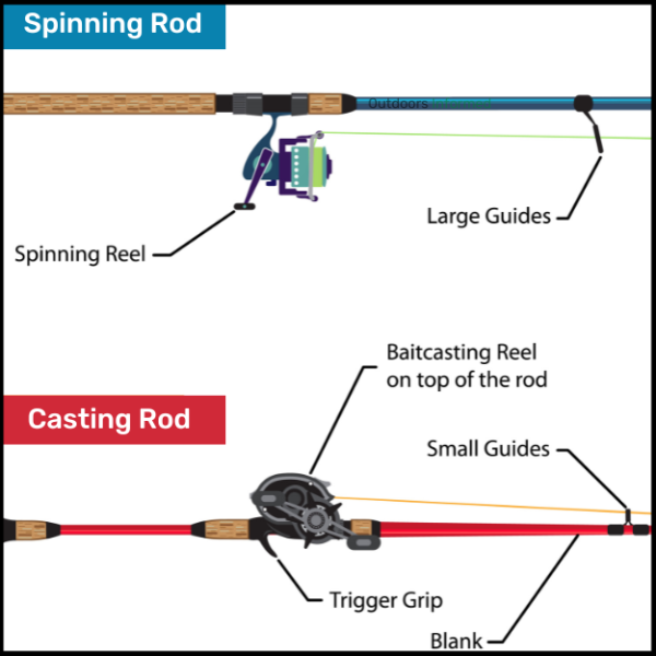 Diagram of differences between a spinning rod and casting rod