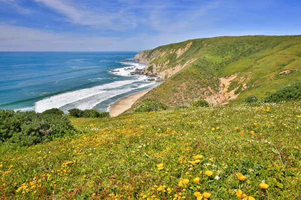 A view of the Pacific Ocean and a sandy beach from Tomales Point trail in California