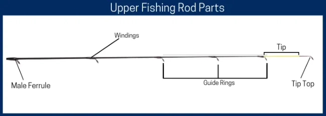 Diagram of upper fishing rod from male ferrule up to tip top