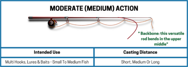 Diagram of a fishing rod explaining medium action or bending in middle section