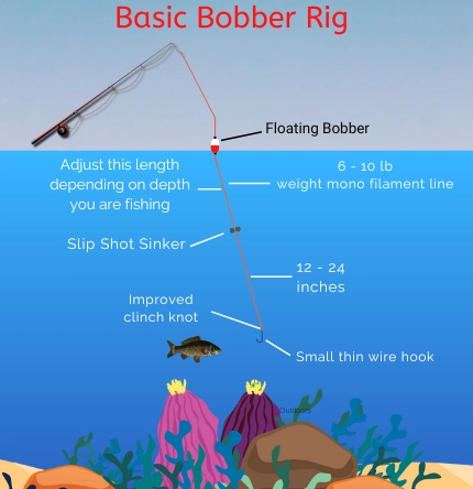 diagram showing the components that create a bobber rig for fishing